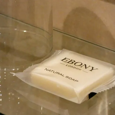 ザ オールド ジン ハウス イン 4*